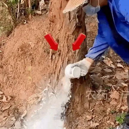 Herbicide Application